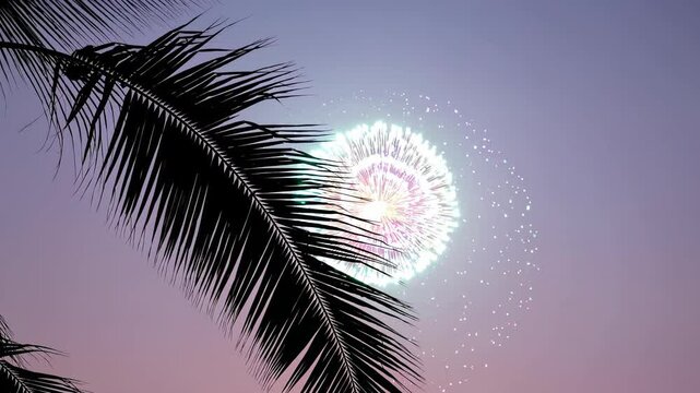 Vibrant fireworks bursting behind shimmering palm fronds against a light backdrop, evoking a joyful and tropical party atmosphere