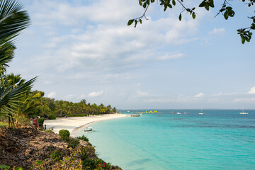 Tropical beach with palm trees