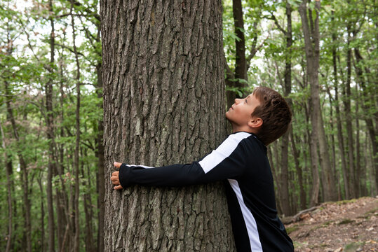 enfant serrant un tronc d'arbre dans la for&ecirc;t