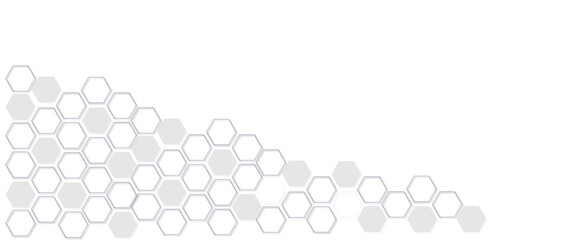 Abstract background with hexagon, modern abstract vector polygonal pattern. Futuristic abstract honeycomb technology white background. Luxury white hexagon pattern.