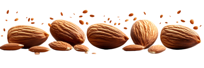 Closeup view of multiple small round objects in a horizontal line on transparent background