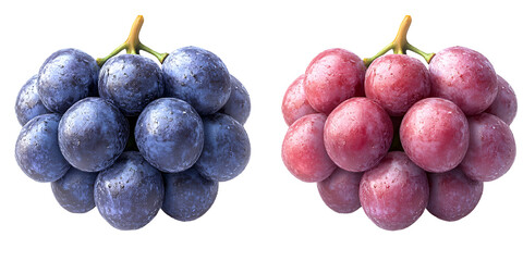 Closeup view of purple and pink berries