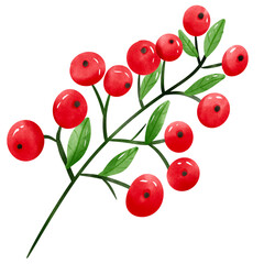 red currant berries