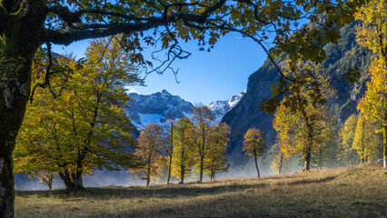 Fototapeta premium Blick durch die Bäume zu Schneebedeckte Berge
