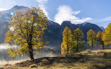 Berglandschaft mit Nebel
