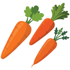 Fresh orange carrots with green leaves isolated on a dark backdrop healthy root vegetable produce