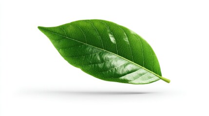 Minimal green leaf icon representing eco-friendly product concept, isolated on white background