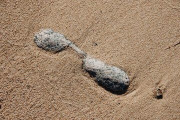 salt and pepper on the beach