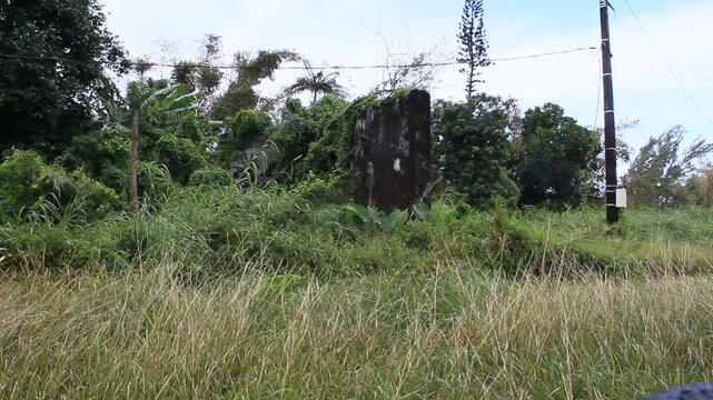 Baril sugar factory