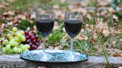 Halloween Outdoor Glasses of Wine and Grape Still Life