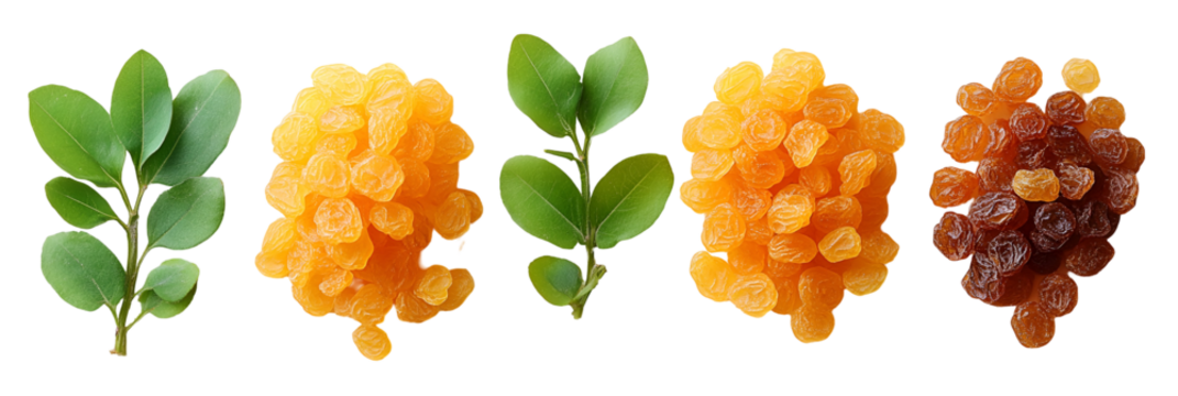 Colorful decorative shapes group