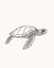 Detailed line drawing of a sea turtle swimming, black and white illustration on light background
