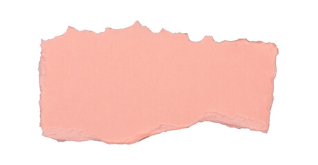 Un morceau de carton brut rectangle rose et déchiré sur un fond transparent. Un espace de copie.