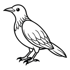black and white sketch of a bird, minimalist line art style, simple, clean digital illustration, vector graphic
