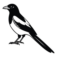 black and white illustration of a magpie bird,minimalist,simple vector art,digital artwork
