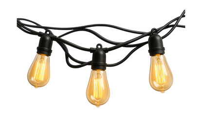 Edison bulb string lights on black rubber cable, ideal for rustic outdoor weddings.
