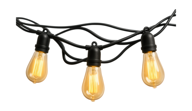 Edison bulb string lights on black rubber cable, ideal for rustic outdoor weddings.