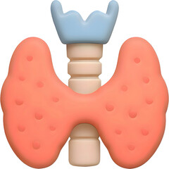 3D 스타일 갑상선과 기관 해부학 구조 일러스트
