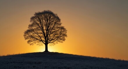 Solitary bare tree on frosty hill, silhouetted against glowing orange horizon