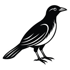 crow, black bird, silhouette, minimalist, vector illustration, simple, clean, digital art
