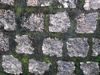 Close-up of an old stone wall with rough surface and green moss growing between the stones. Natural aged texture with earthy tones and organic pattern, perfect as a background or texture reference.