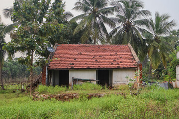 Obraz premium Traditional home in the middle of palm trees, also called Tiled house. Indian rural house of a small family. 