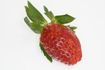 新鮮なイチゴ　愛きらり 愛知県産