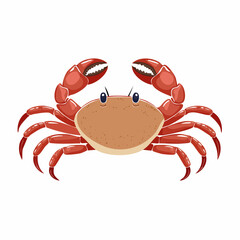 Sandkrebs mit kleinen Scheren