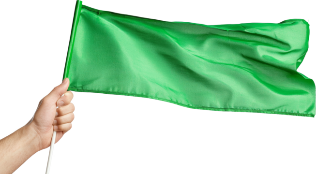 hand holding green flag 