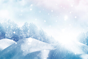 Sunbeam. festive winter forest with trees.  copy space. Christmas. snow.