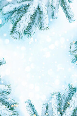 Festive winter frame. Christmas nature background. Pine branches in the snow. Light and bokeh.