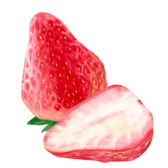 strawberry illustration