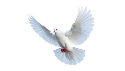 Obraz premium Friedenstaube, isoliert, transparenter Hintergrund, png