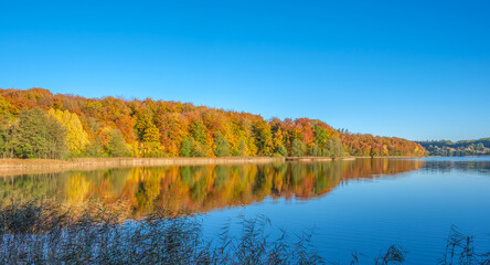 Jesienny spacer po Kartuzach