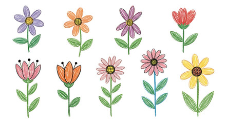 Colorful Crayon Flower Doodles, Hand Drawn Floral Illustration Set on White Background
