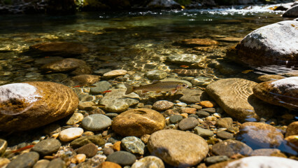 Clear stream water flowing over smooth river rocks and pebbles in a natural setting