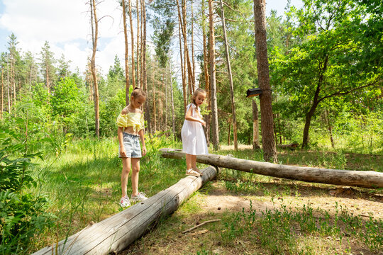 Children balancing standing on the log in forest