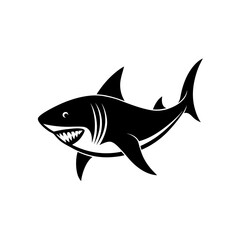 shark vector illustration