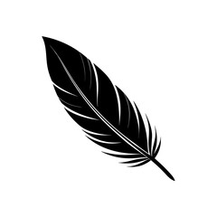 Obraz premium set of feather