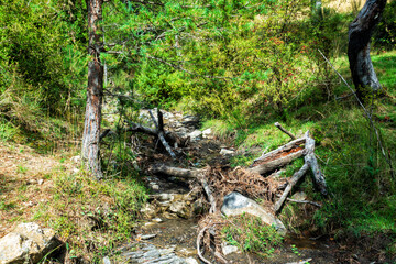 Bergbach in der Haute Provence: Bei Schneeschmelze zerstörend, im Sommer grünes Band