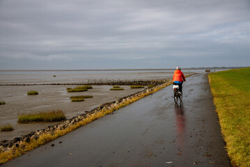 Radfahrer im Wattenmeer