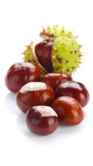 Cones and chestnuts, close-up