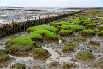 Wattenmeer