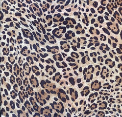Luxury leopard background. Wild tiger pattern. Pantera animal print. Cheetah print. Snow leopard fur. © Feoktistova
