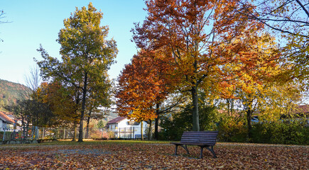 Herbstwanderung am Arber, Bayrischer Wald