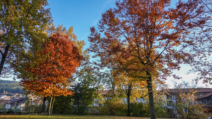 Herbstwanderung am Arber, Niederbayern