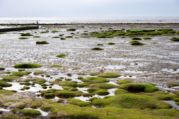 Wattenmeer