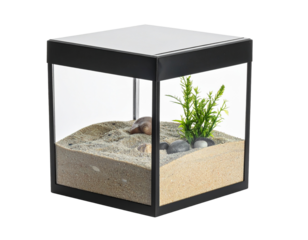 Miniature Fish Tank with Sand and Plant Decoration