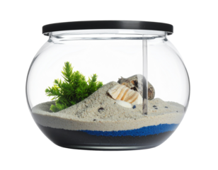 Round Glass Aquarium with White Sand and Small Plant