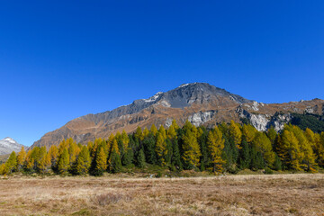 High mountain panorama in autumn with green and yellow colored larches, blue sky, in the Swiss Alps.